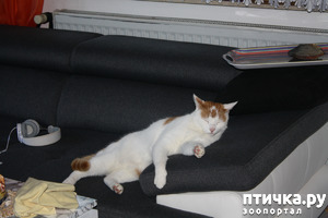 ����: ��� ����� ������� ������ ������