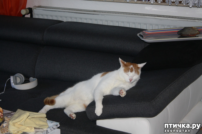 ���� 1: ��� ����� ������� ������ ������