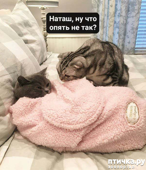 ����: ����� ���� ������� ���������� ������