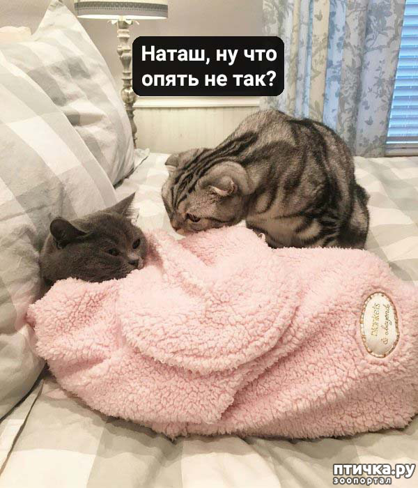 ���� 1: ����� ���� ������� ���������� ������