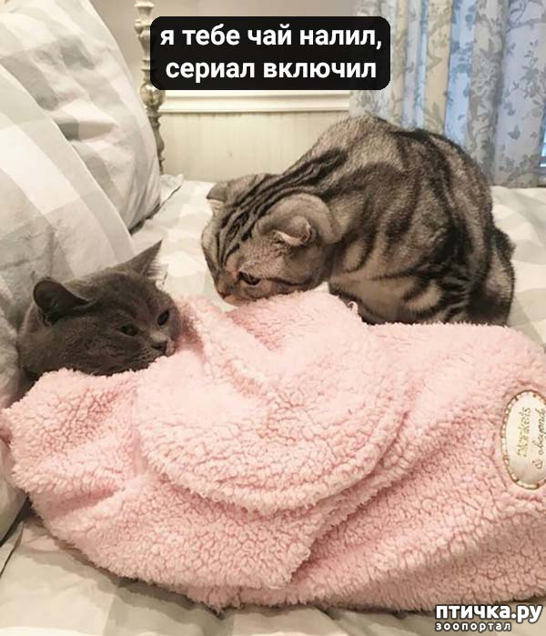 ���� 2: ����� ���� ������� ���������� ������