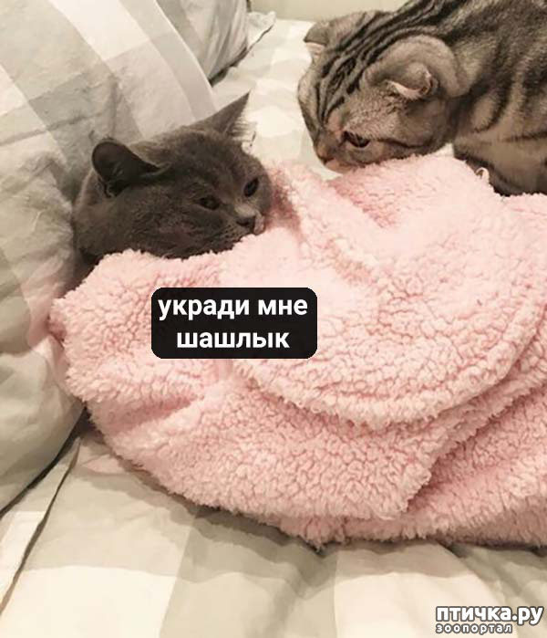 ���� 4: ����� ���� ������� ���������� ������