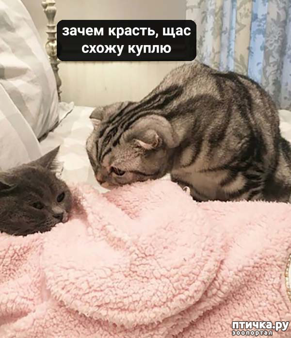 ���� 5: ����� ���� ������� ���������� ������