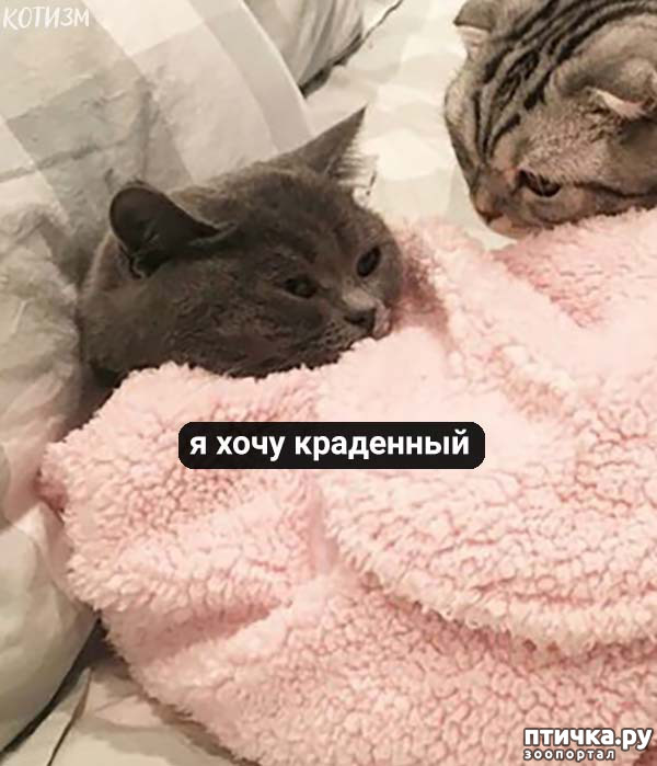 ���� 6: ����� ���� ������� ���������� ������