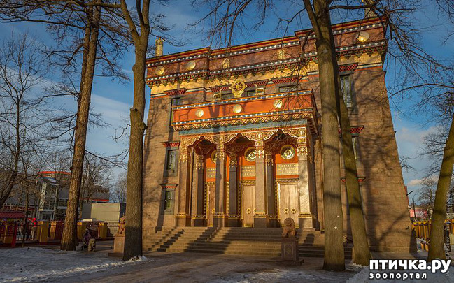 ���� 3: ������������ 3