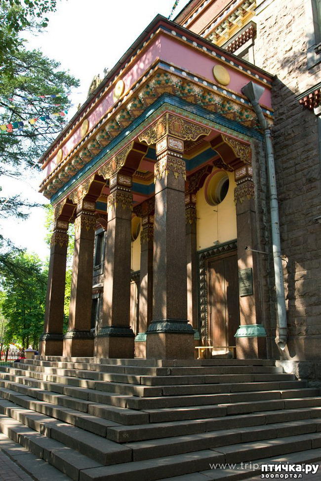 ���� 4: ������������ 3