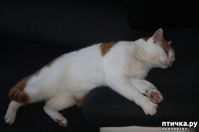 ���� 2: ��� ����� ������� ������ ������