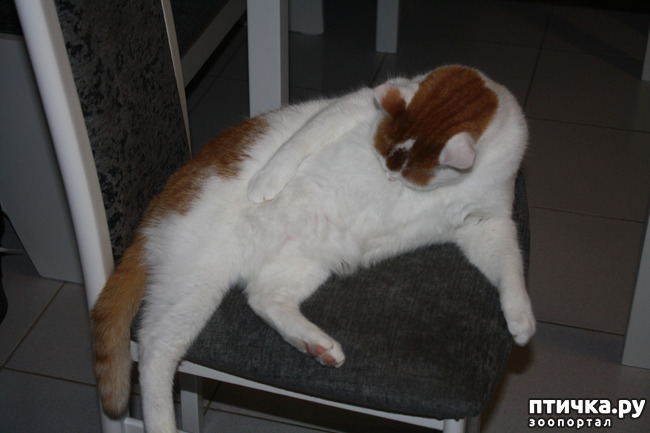 ���� 3: ��� ����� ������� ������ ������