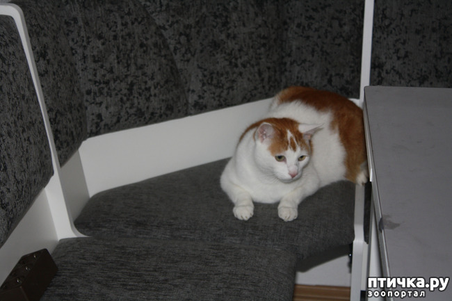 ���� 4: ��� ����� ������� ������ ������