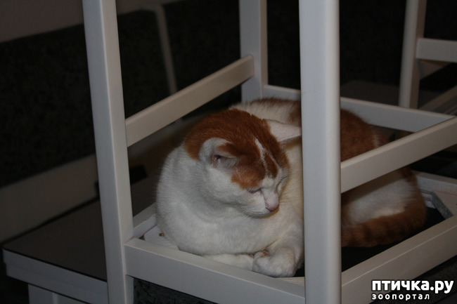 ���� 5: ��� ����� ������� ������ ������