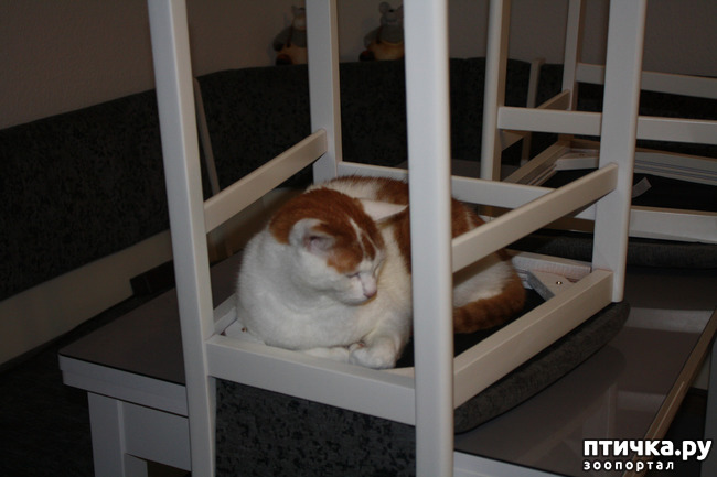 ���� 6: ��� ����� ������� ������ ������