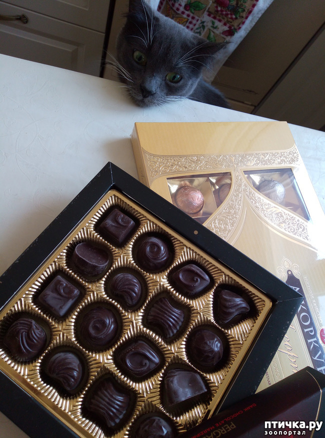 ���� 1: ���-����������