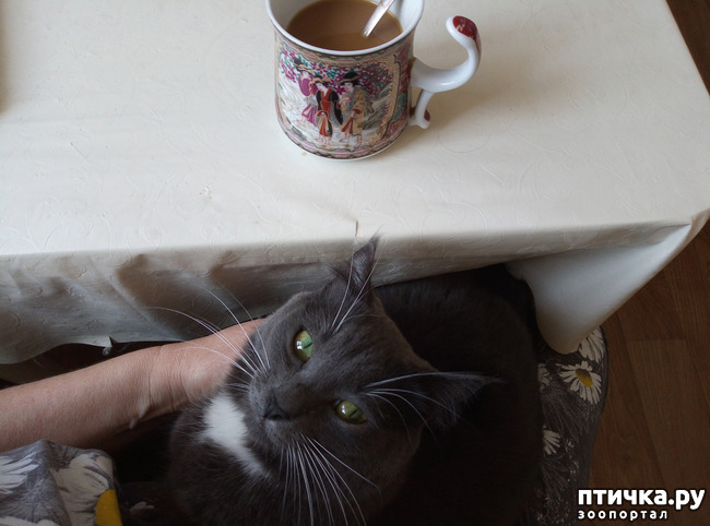 ���� 2: ���-����������