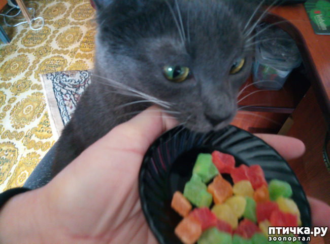 ���� 3: ���-����������