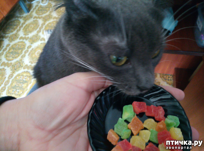 ���� 4: ���-����������