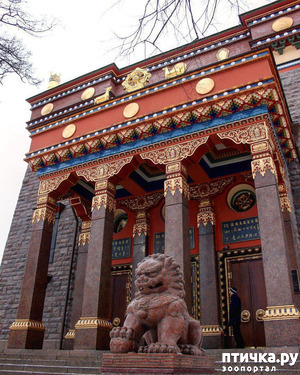 ����: �����