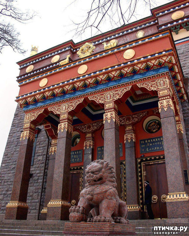 ���� 1: �����