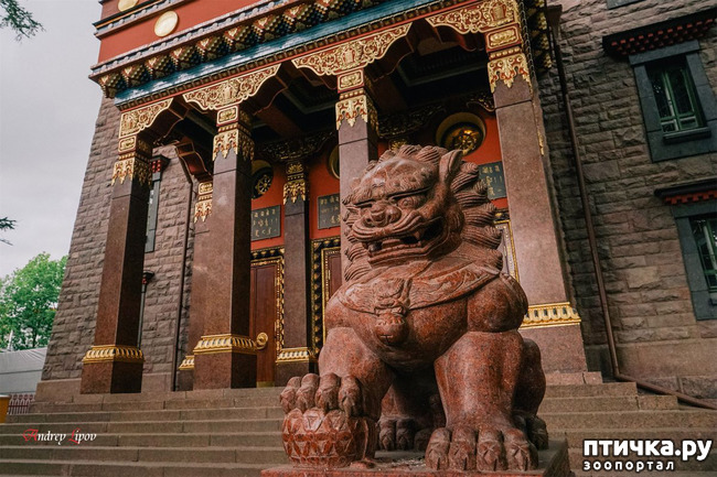 ���� 2: �����