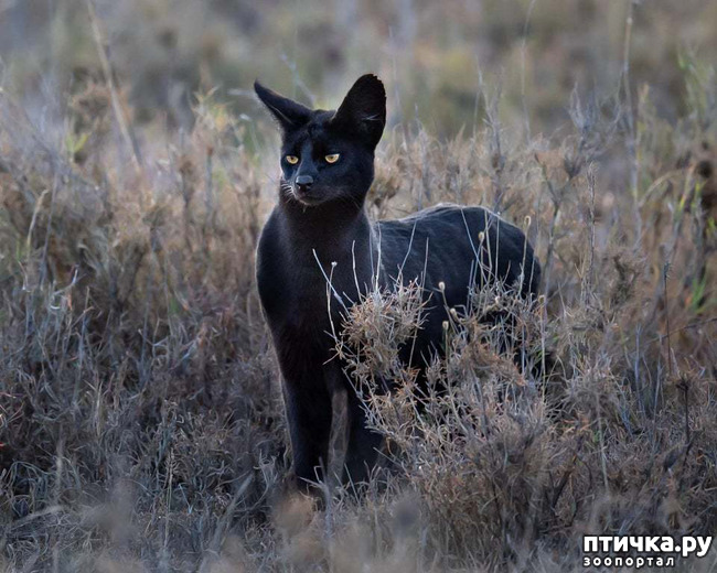 ���� 1: �������� - ������ �������