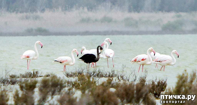 ���� 6: �������� - ������ �������