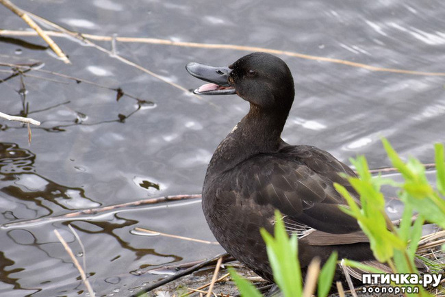 ���� 10: �������� - ������ �������