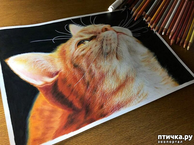 ���� 3: �������?