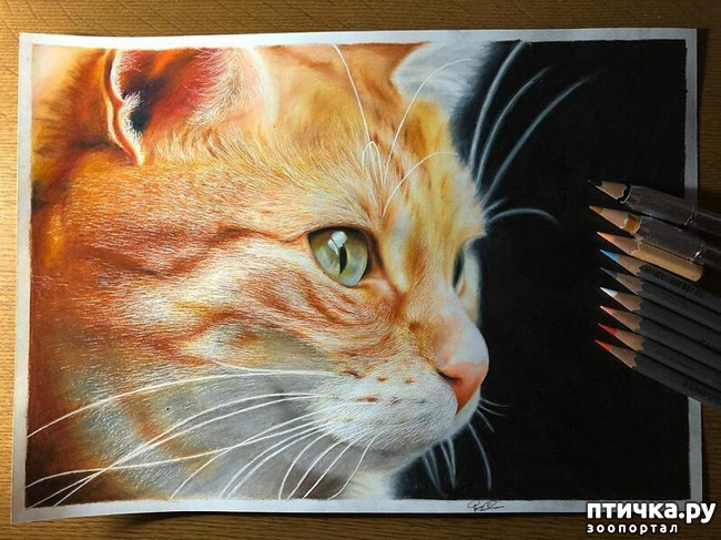 ���� 5: �������?