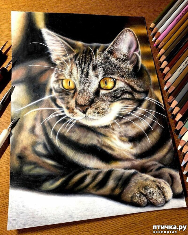 ���� 7: �������?