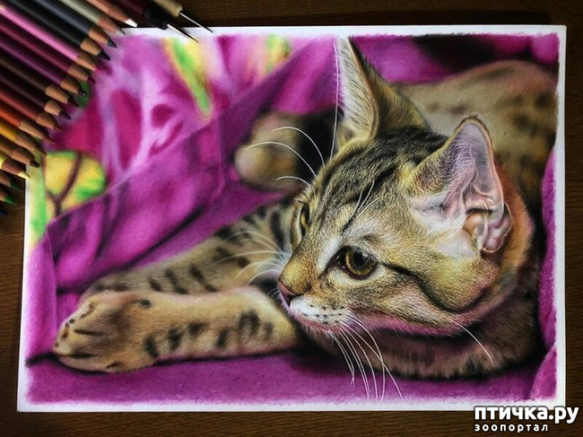 ���� 11: �������?