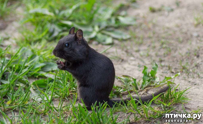 ���� 13: �������� - ������ �������