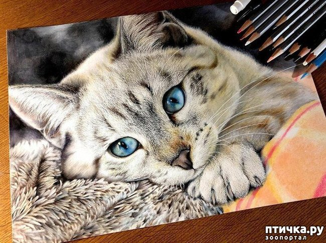 ���� 12: �������?