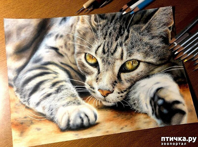 ���� 13: �������?