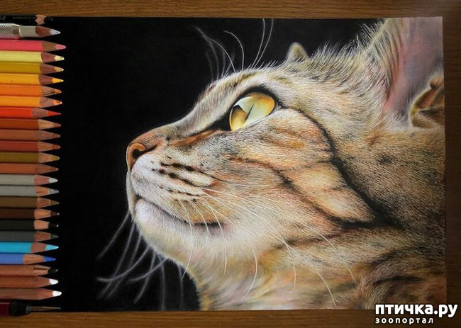 ���� 14: �������?