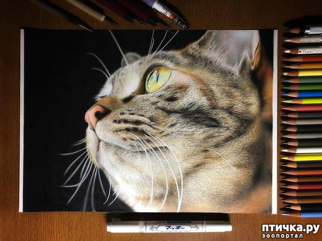 ���� 15: �������?