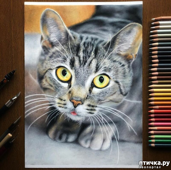 ���� 16: �������?