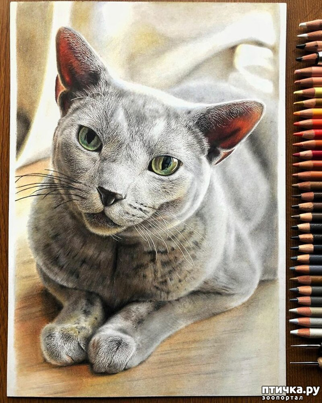 ���� 19: �������?