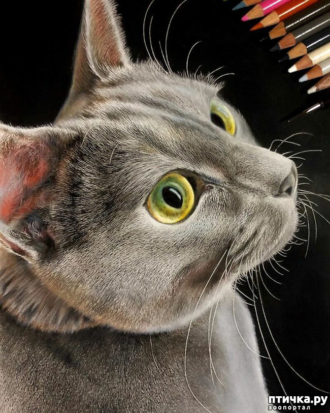 ���� 20: �������?