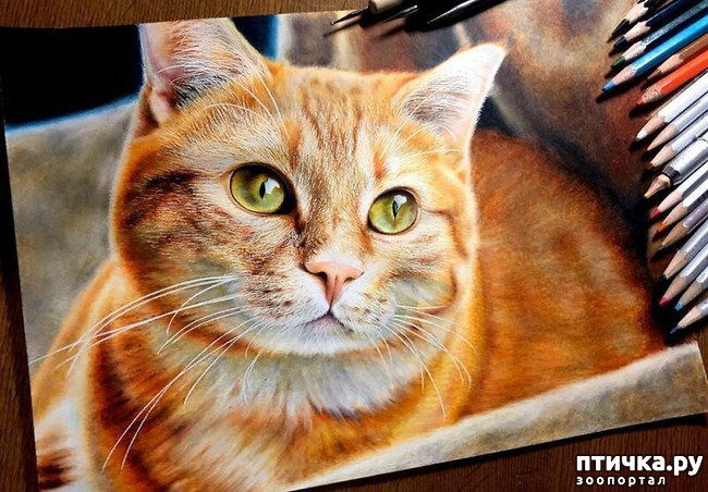 ���� 22: �������?