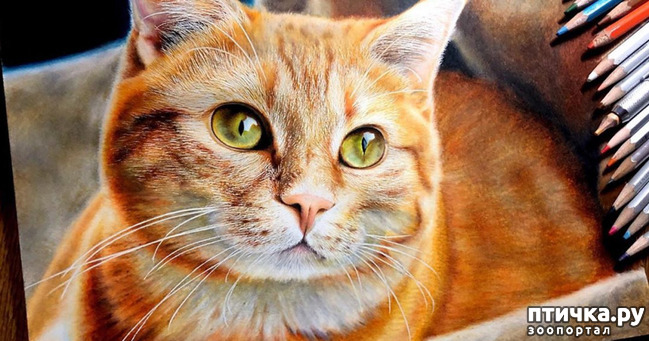 ���� 25: �������?