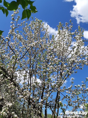 ����: ������ � ����� - ����� ����!