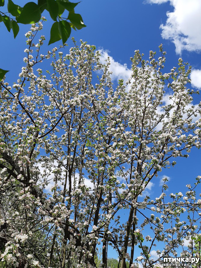 ���� 1: ������ � ����� - ����� ����!