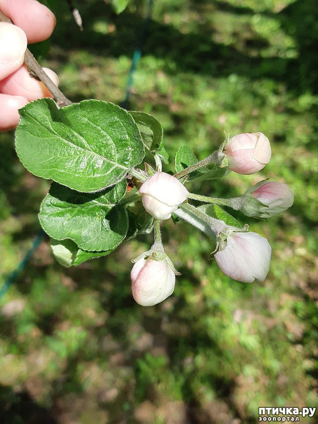 ���� 3: ������ � ����� - ����� ����!