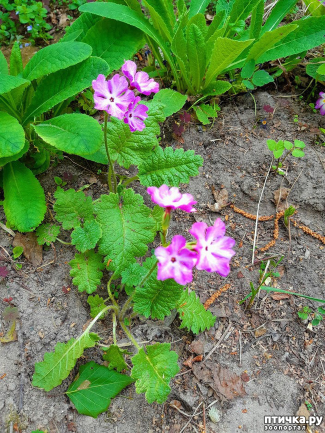 ���� 4: ������ � ����� - ����� ����!