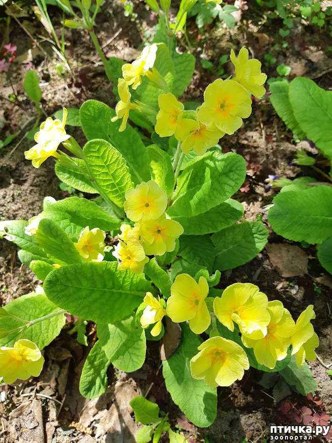 ���� 5: ������ � ����� - ����� ����!