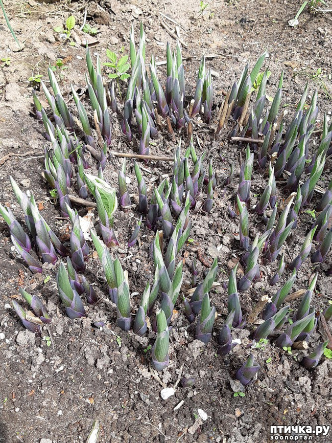 ���� 6: ������ � ����� - ����� ����!