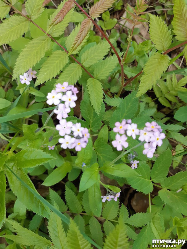 ���� 8: ������ � ����� - ����� ����!