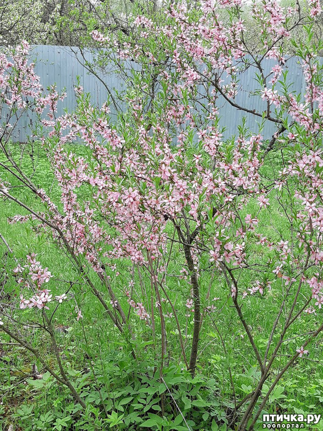 ���� 9: ������ � ����� - ����� ����!