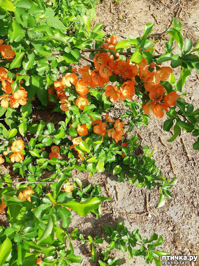 ���� 10: ������ � ����� - ����� ����!