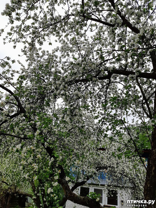 ���� 11: ������ � ����� - ����� ����!