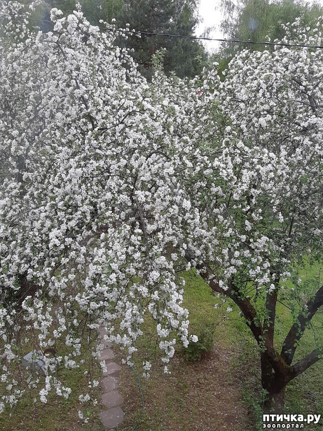 ���� 12: ������ � ����� - ����� ����!